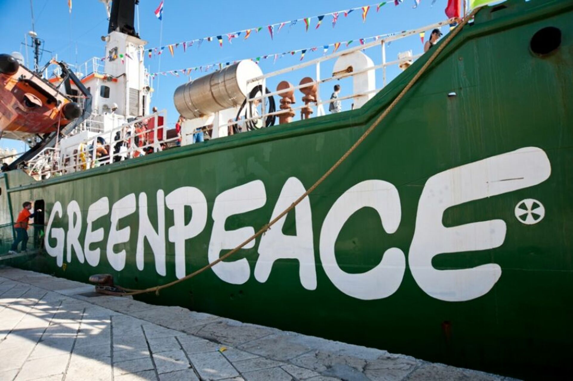 Greenpeace organization. Greenpeace 50 лет. Гринпис фото. Greenpeace организация. Greenpeace в России.