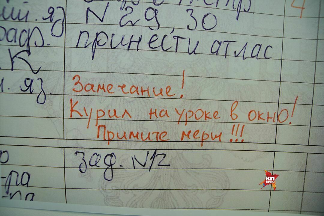 В Екатеринбурге открылась выставка замечаний в школьных дневниках