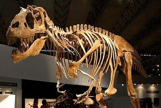 Скелет динозавра возрастом 76 млн лет выставили на аукцион в Нью-Йорке