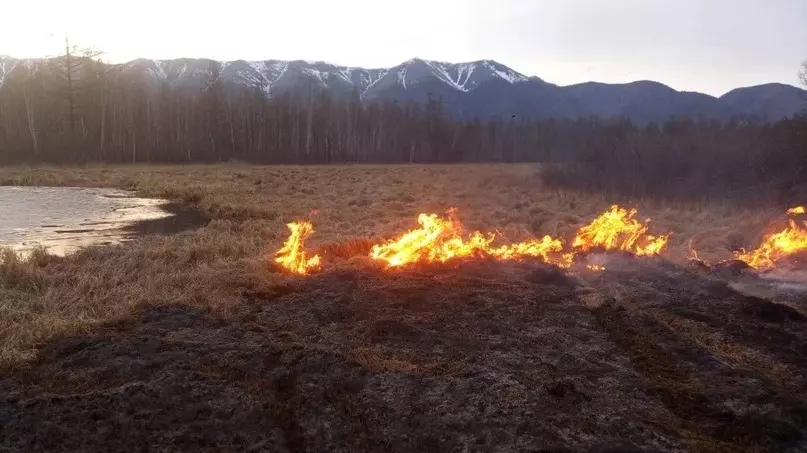 За сутки в Бурятии выгорело более 140 га лесов.