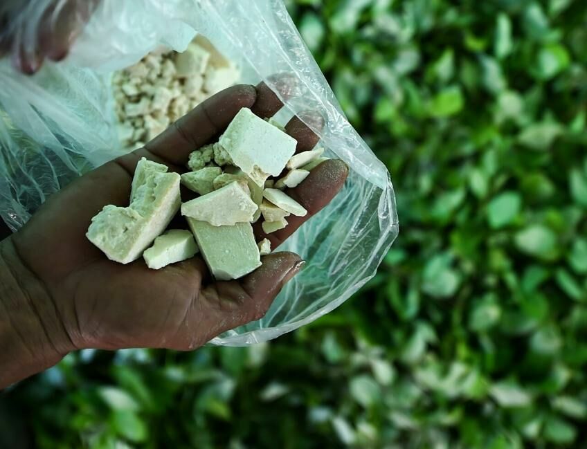 Производство кокаина в Колумбии достигло исторического рекорда