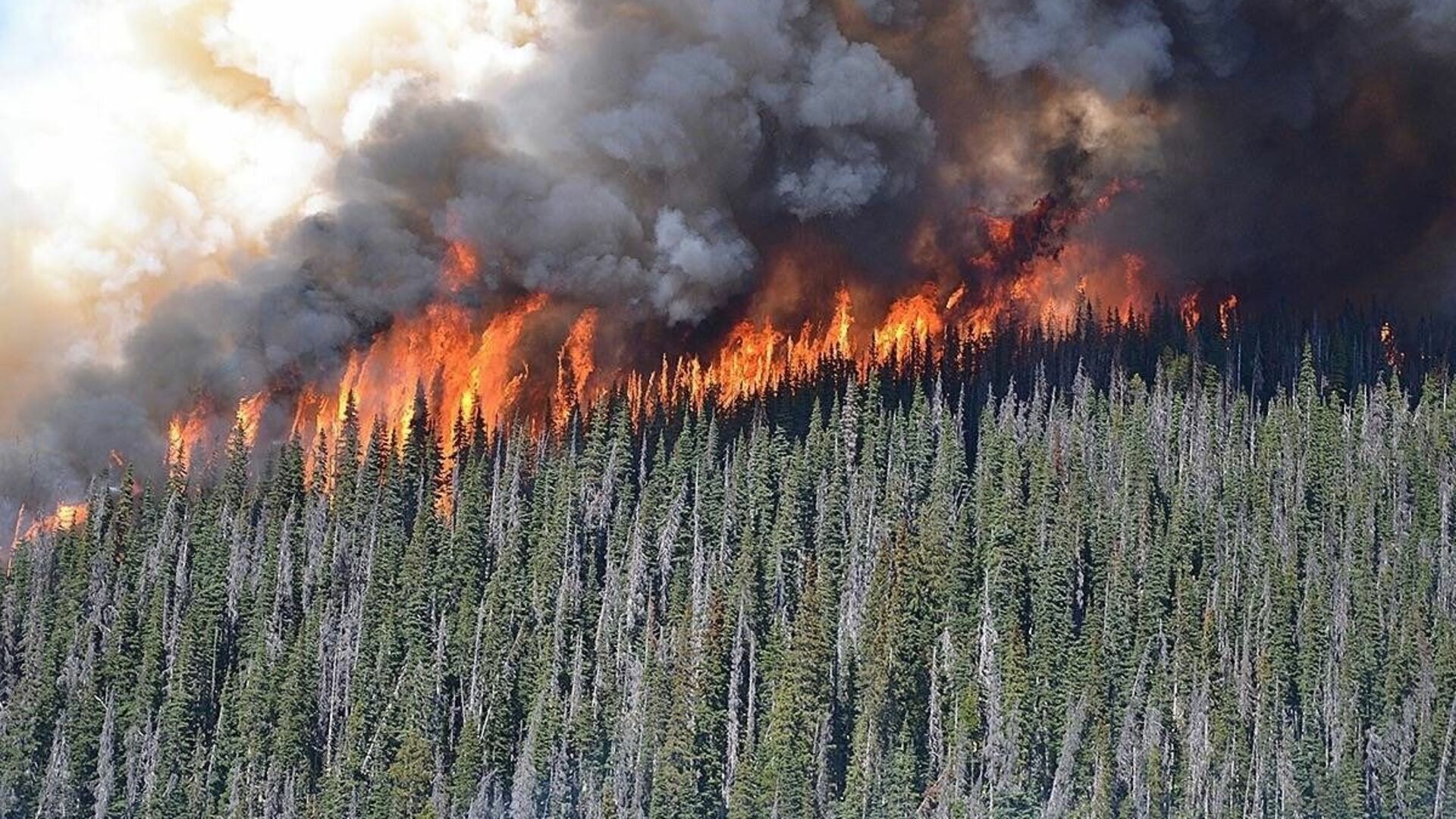 Загрязнение воздуха пожары. Лесные пожары. Загрязнение атмосферы пожарами. Лесные пожары загрязнение.