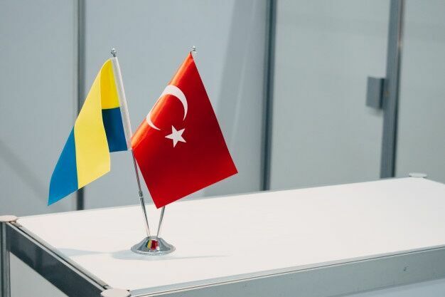 Турция поддержала Украину в переговорах против «российской оккупации Крыма»