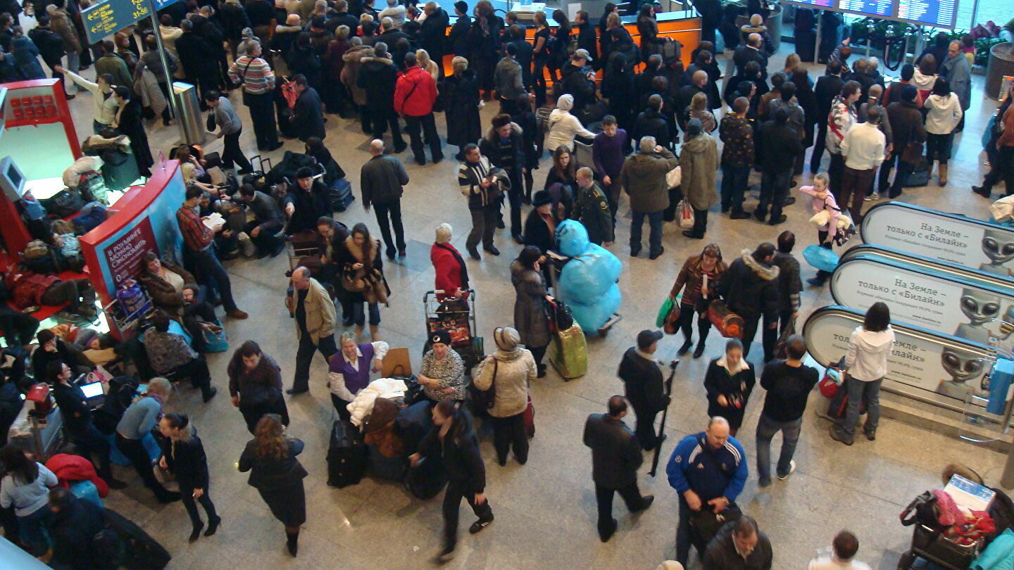 Сотни пассажиров с утра не могут улететь из Домодедово из-за непогоды