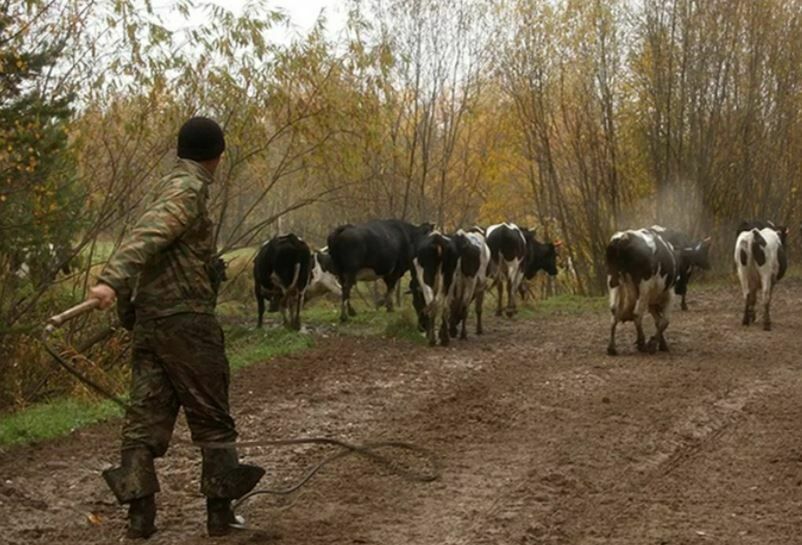 Житель Калмыкии запер на ферме пастуха, а затем сбил его на трассе при попытке побега
