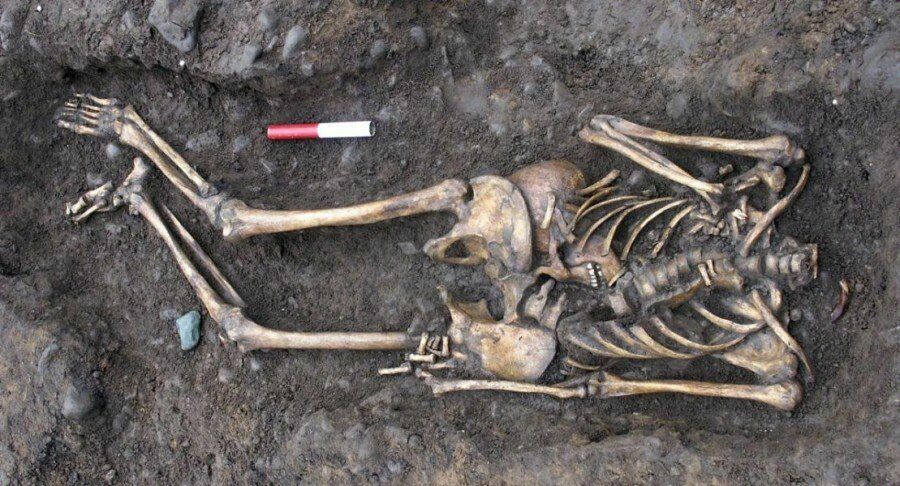 На месте будущей трассы «Таврида» в Крыму нашли более 70 обезглавленных скелетов