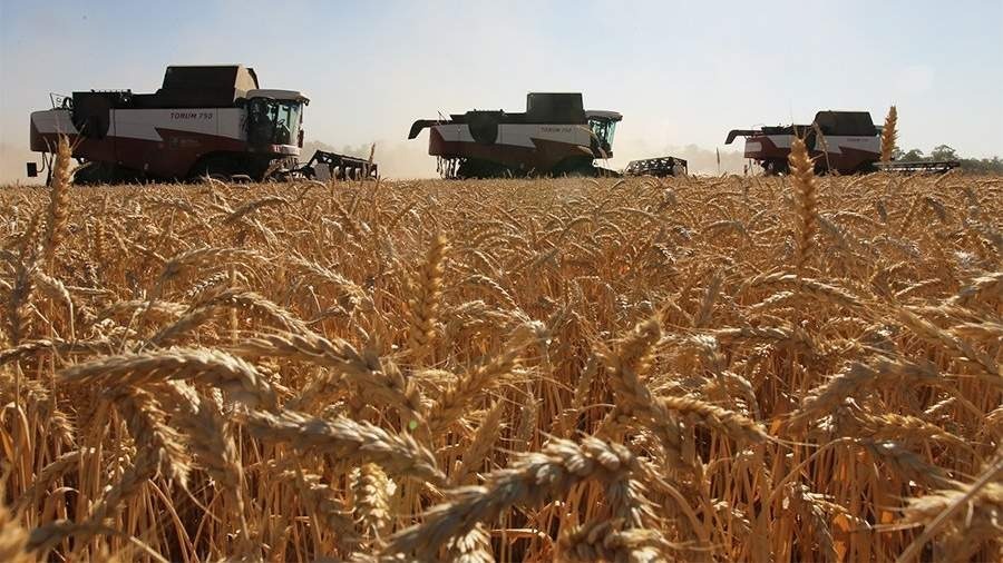 Просим зерна и масла… Главные друзья России недовольны остановкой «зерновой сделки»