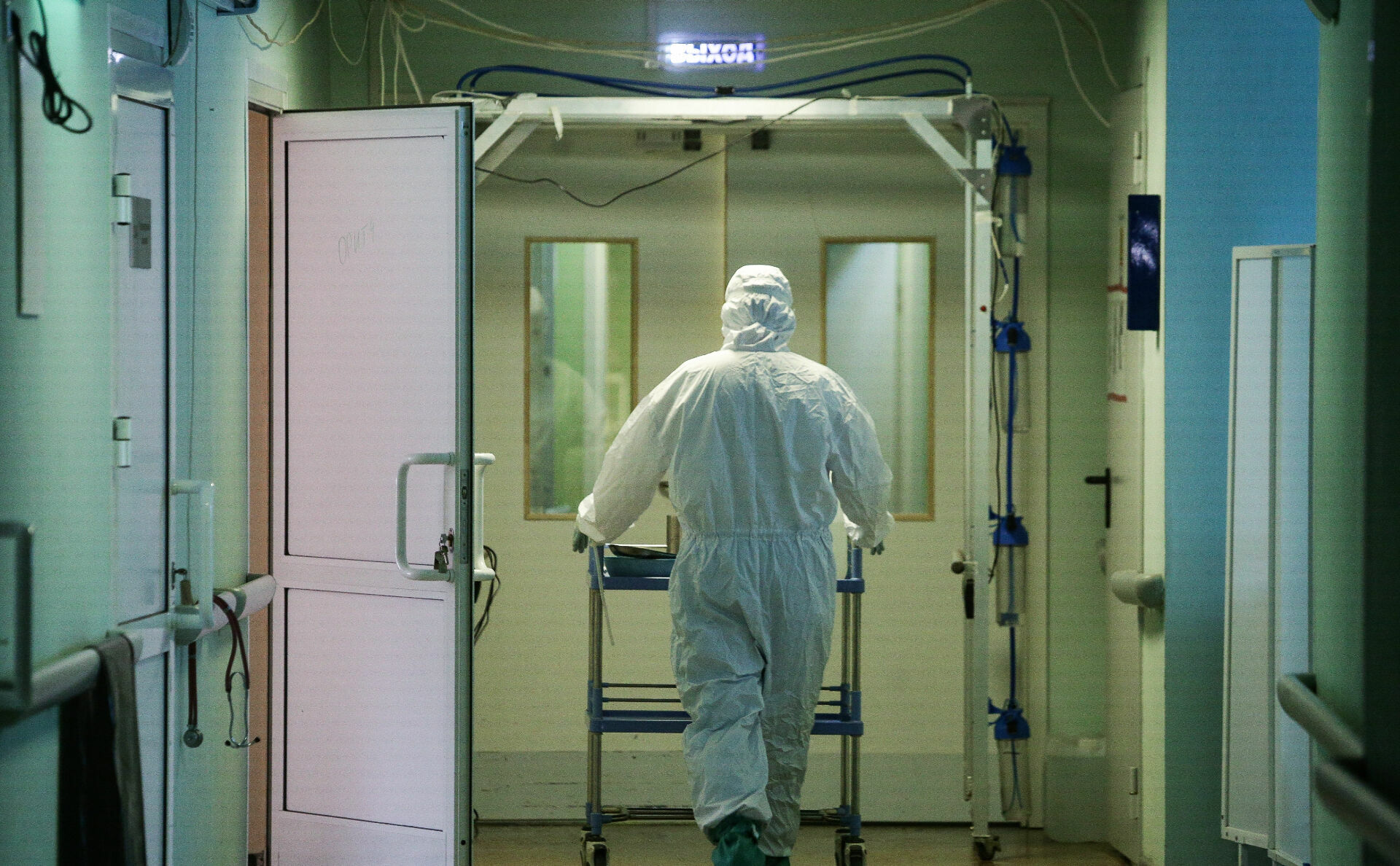 С начала пандемии от коронавируса в России скончались свыше 116 тысяч человек