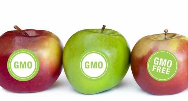 В России стала обязательной маркировка продуктов с ГМО