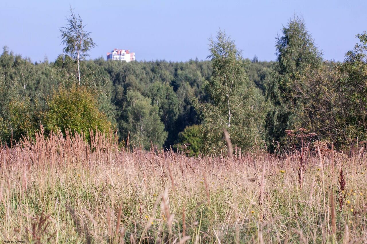 Экологи: Москва потратит 28 млрд руб. на ненужное "благоустройство" парков