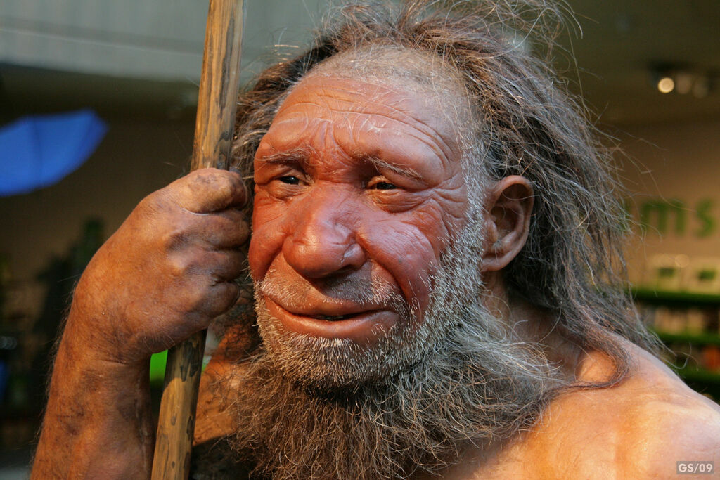 Испанские ученые реконструировали охоту неандертальцев на птиц