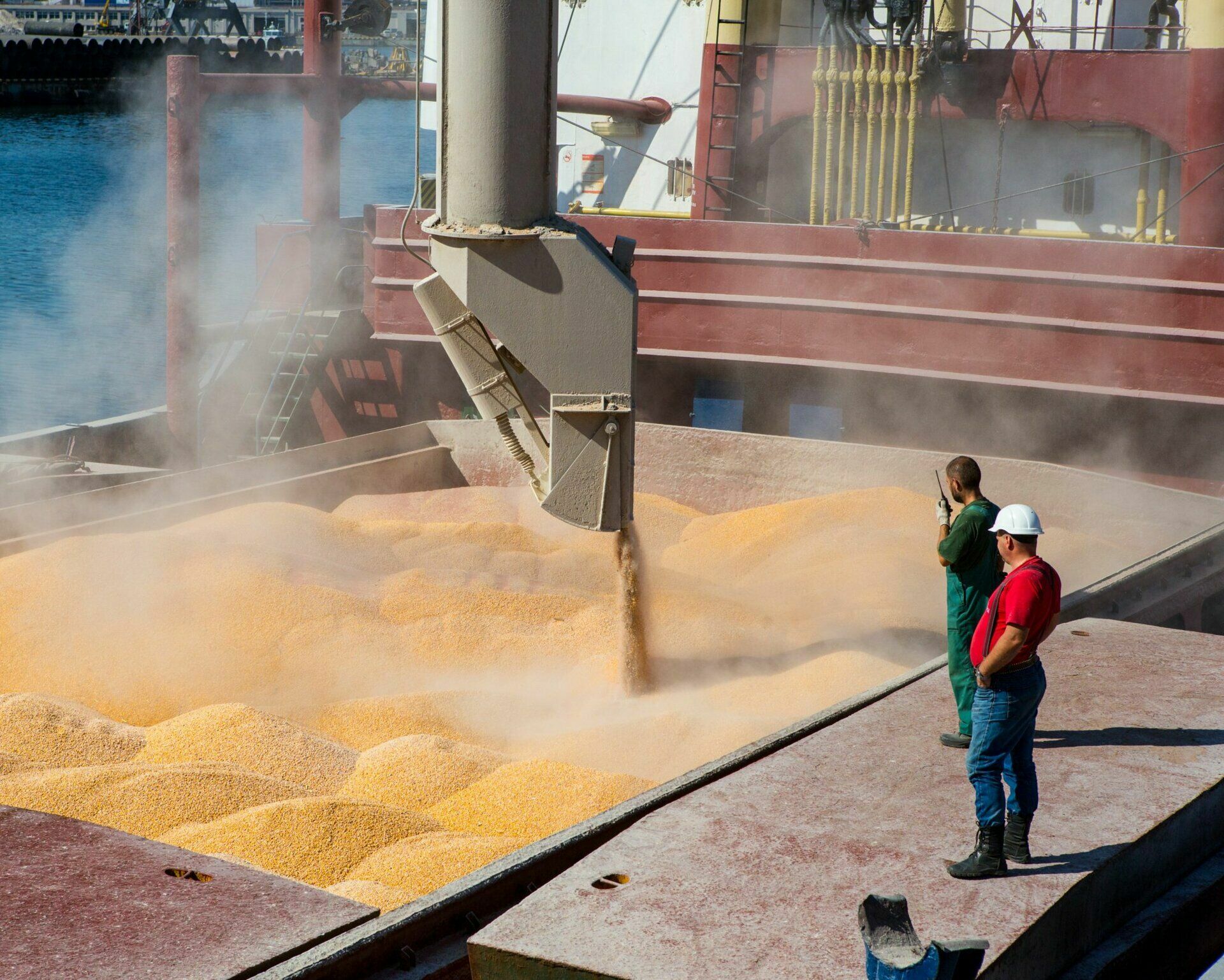 Экспортные цены на российскую пшеницу побили семилетний рекорд