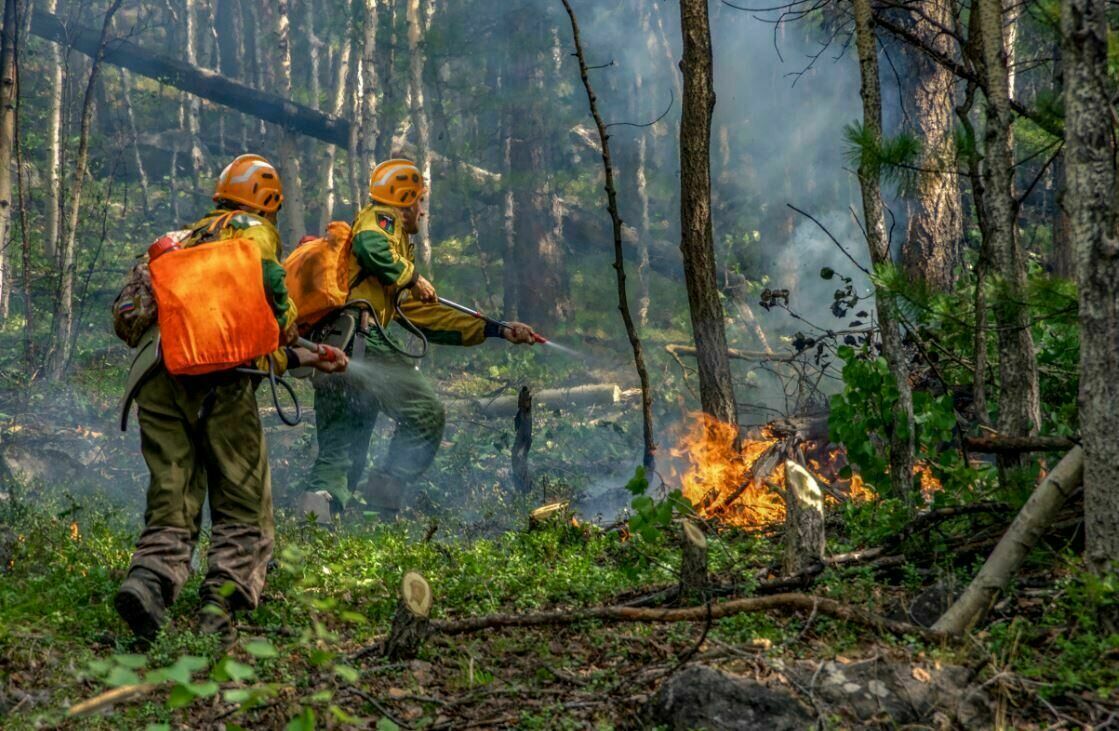В Генпрокуратуре обнаружили искажение статистики по лесным пожарам