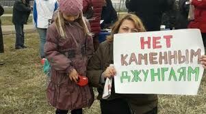 Москвичи выступили против строительства жилья на месте школ и детсадов