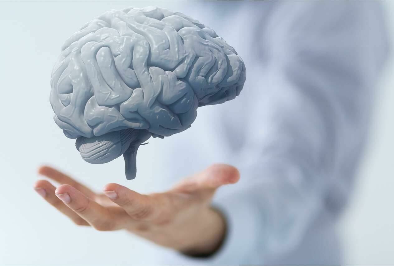 Ученые выяснили, как замедлить старение мозга