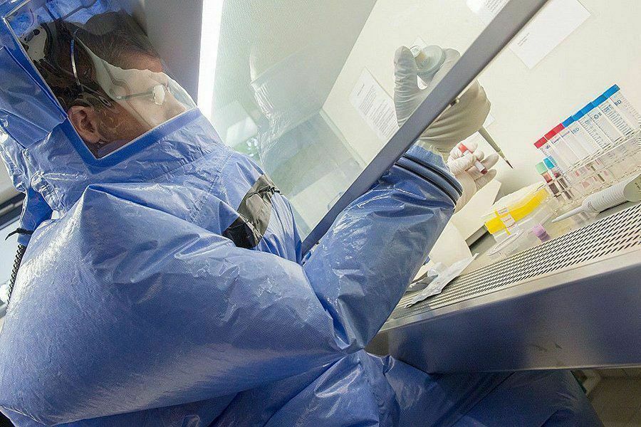 Как появился коронавирус и почему сеть биолабораторий США бездействует в пандемию