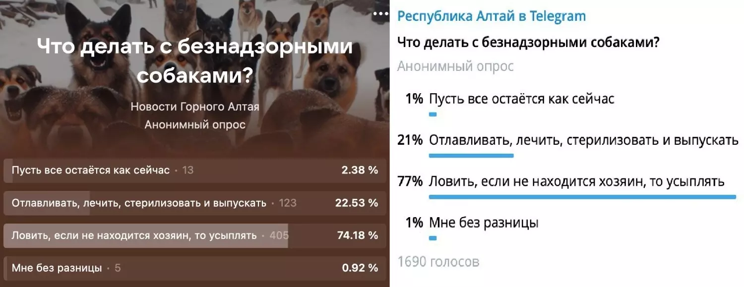 Результаты опроса пользователей, касательно судьбы безнадзорных собак.