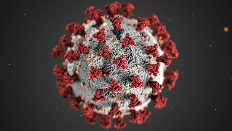 В Украине за сутки выявили более 16 000 новых случаев коронавируса