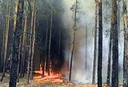 В России действуют десятки очагов природных пожаров (ВИДЕО)