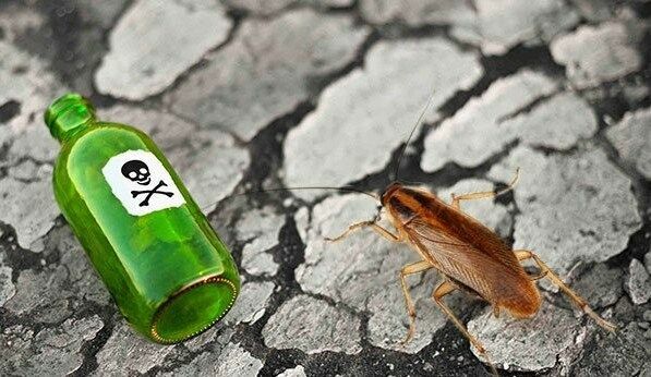 В Приморье мужчина случайно отравил свою семью средством от тараканов