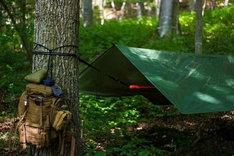 Подростки устроили стрельбу в палаточном лагере Новосибирска