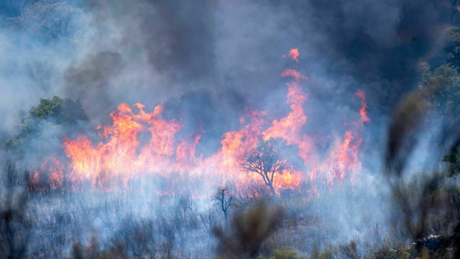 Лесные пожары во Франции охватили почти 20 тыс. га