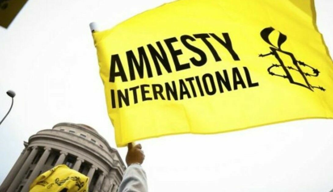Скандальный доклад Amnesty International о ВСУ проверят независимые эксперты