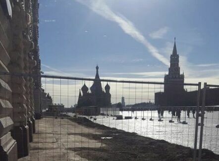 Вырубки деревьев в Москве добрались до Красной площади