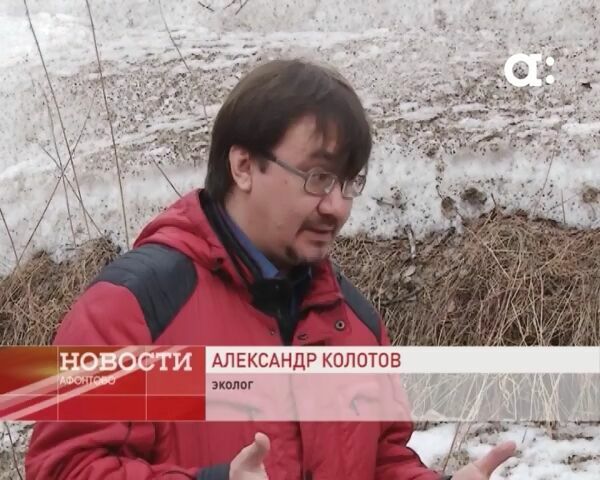 Эколог Александр Колотов: "Проекты новых ЦБК в Сибири страдают от гигантизма"