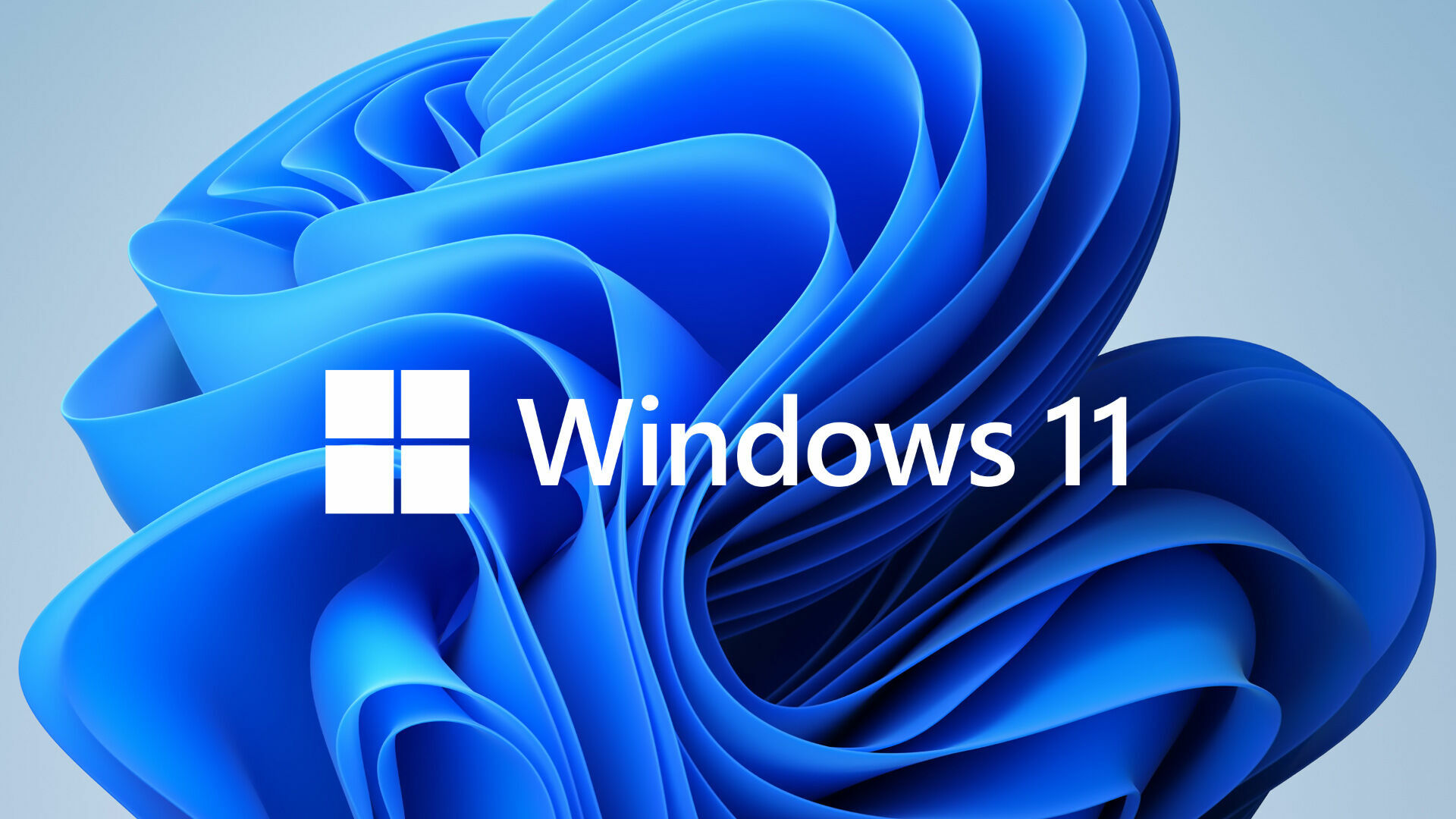 Пользователи начали установку новой системы Windows 11
