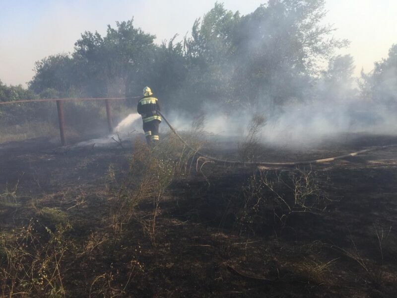 В Ростовской области ввели режим ЧС из-за природных пожаров