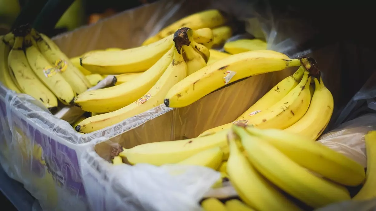 Эквадор является главным поставщиком бананов в российские торговые сети.