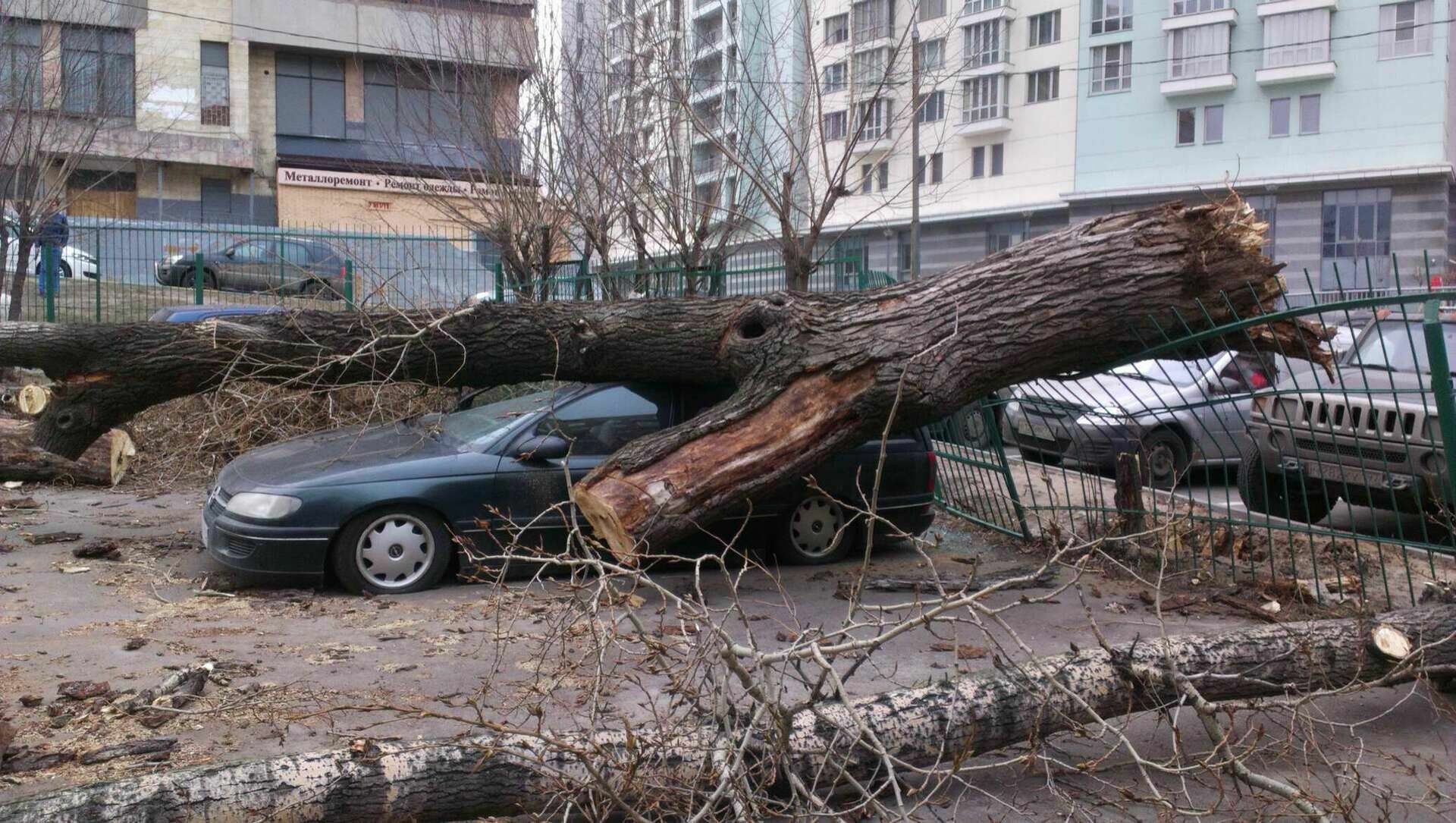 В Москве более 75 машин пострадали из-за поваленных ветром деревьев