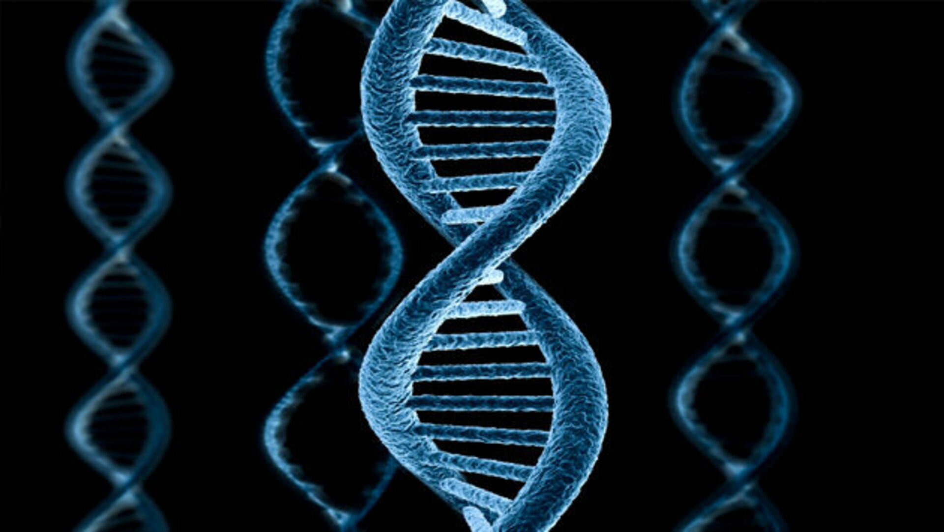 Геном белого человека. ДНК гены геном. Спираль ДНК человека. Молекула ДНК. ДНК картинки.