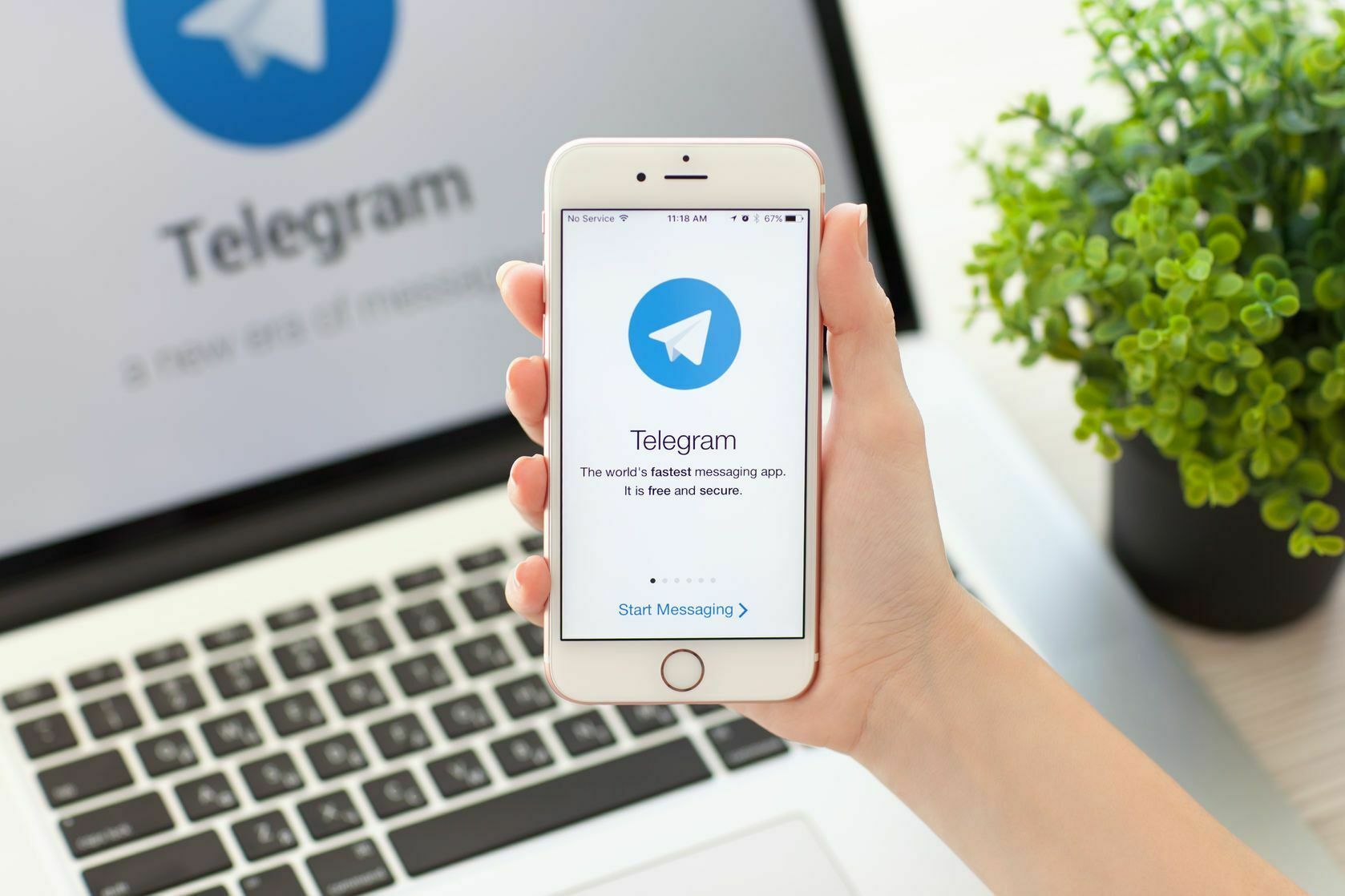 Адвокаты подали в Мосгорсуд жалобу о блокировке Telegram