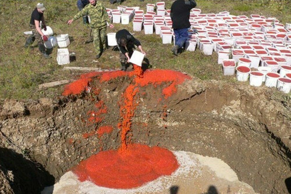 Во Владивостоке уничтожили десятки килограммов красной икры