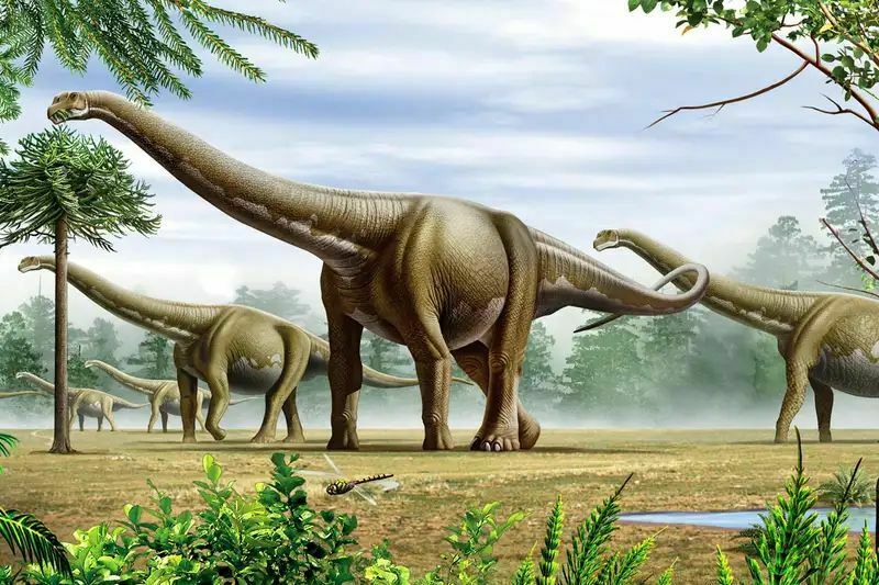 Все дело - в костях: разгадана загадка больших динозавров