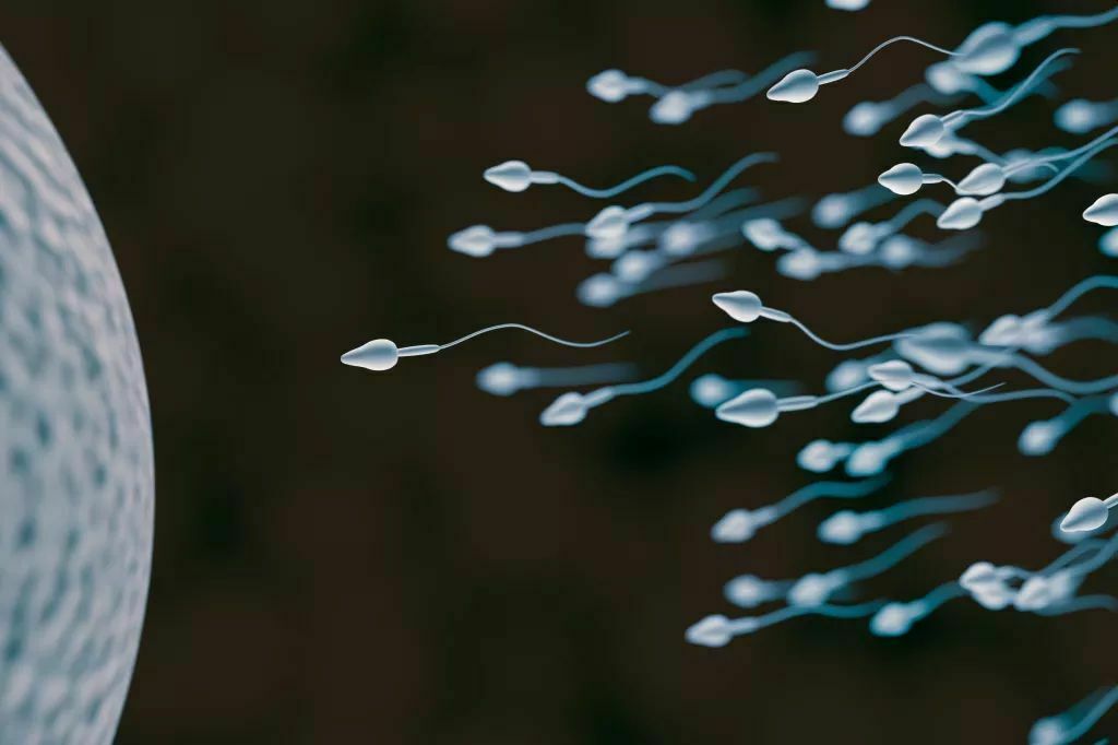 LiveScience: коронавирус может влиять на мужскую фертильность