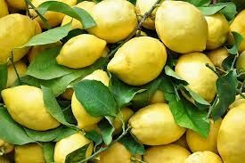 Forbes назвал лимон самым престижным фруктом в России