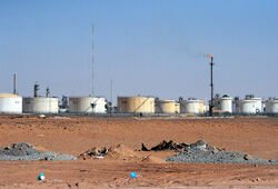 На газовом заводе в Алжире убиты 48 заложников, в том числе 9 японцев