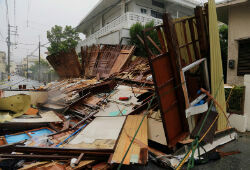 Из-за тайфуна «Неогури» на юге Японии пострадали 40 человек