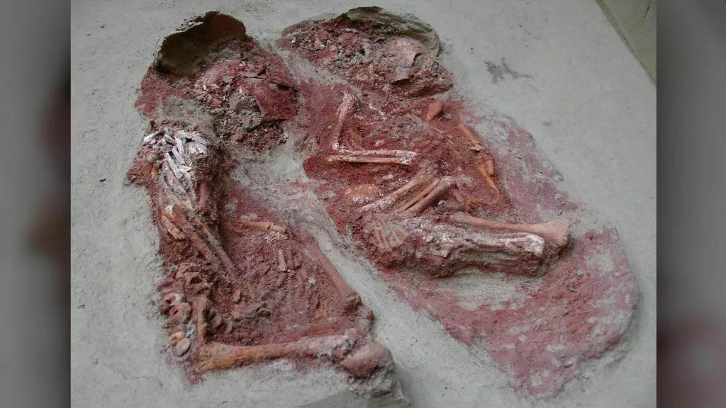 Самые древние в мире близнецы обнаружены на берегу Дуная