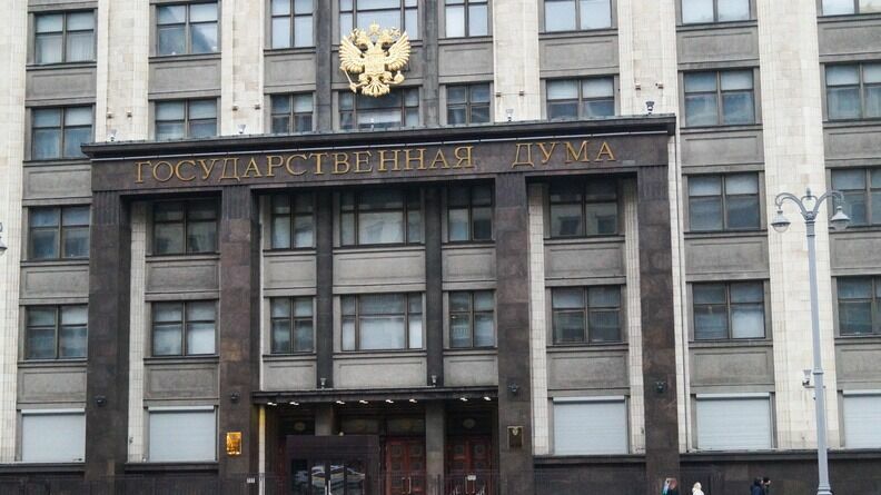 Госдума изучит ситуацию с задержанием подростков из «ЧВК Редан»