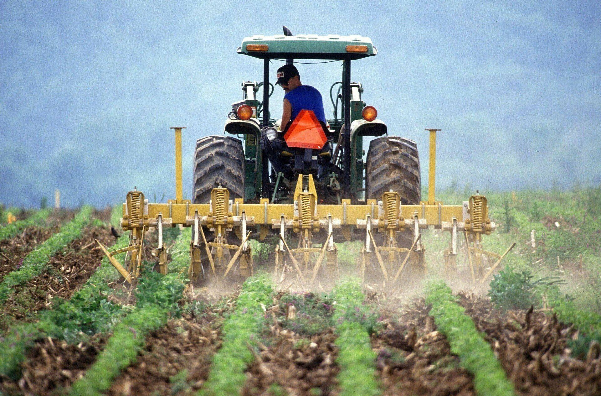 Немецкий концерн Bayer выплатит фермерам США $10 млрд за канцерогенный гербицид