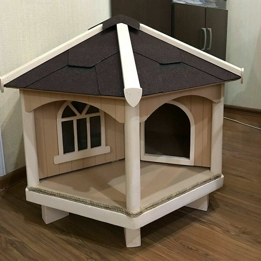 Для бездомных кошек в каждом дворе столицы Ингушетии построят домики