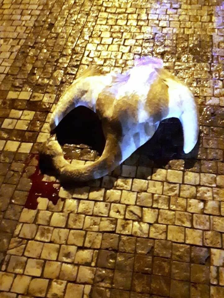 Новогодний ад: в Праге с неба падали мертвые лебеди