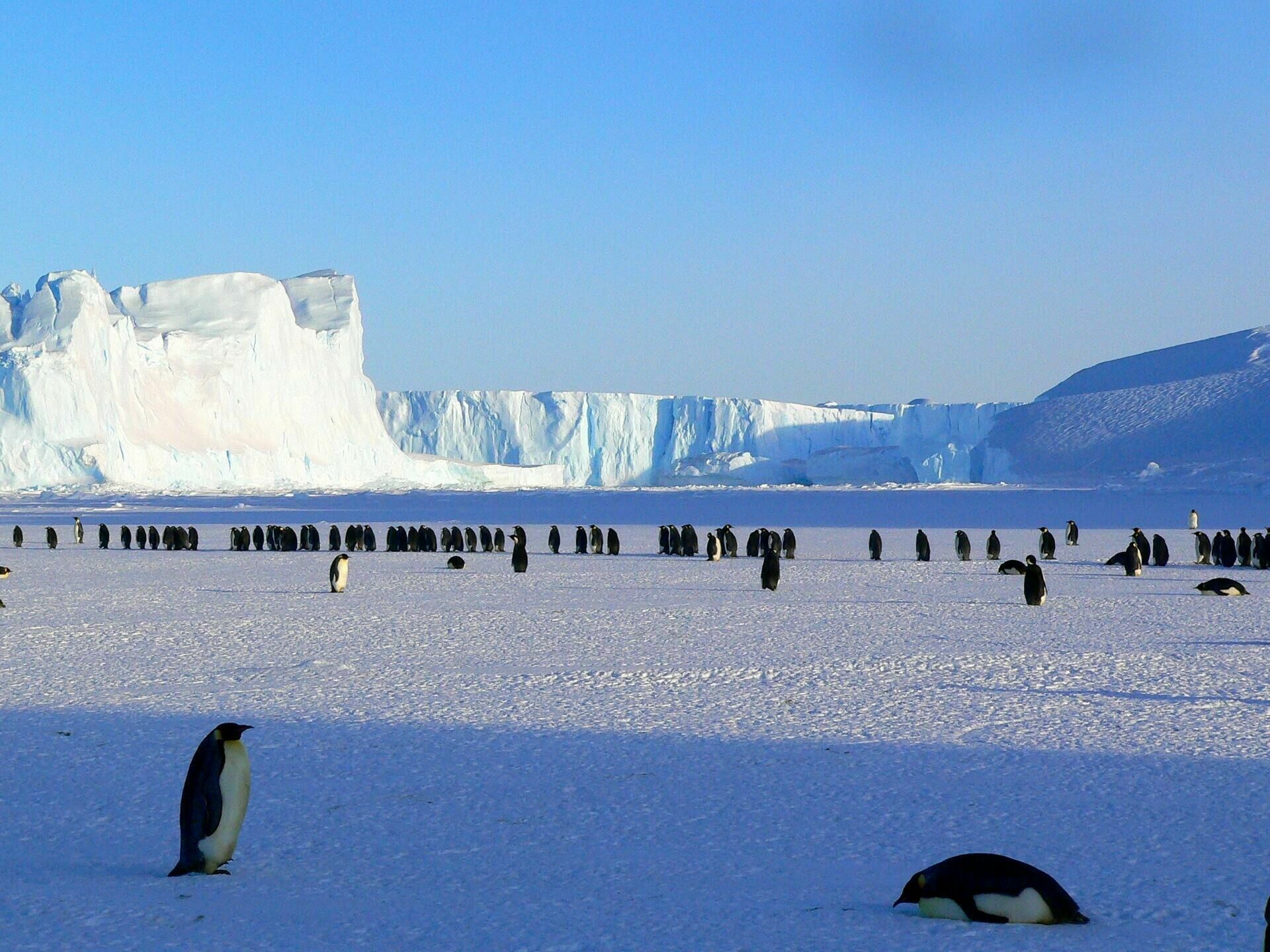 Полярник Валерий Лукин заявил, что потепление угрожает только западу Антарктиды
