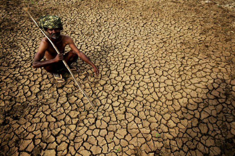 Аномальная жара в Индии привела к гибели 2,3 тысяч человек