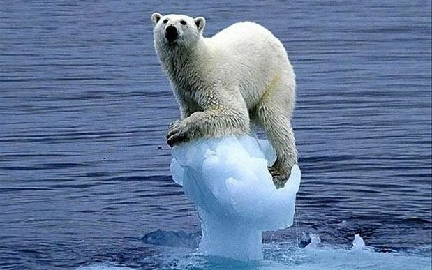 Площадь льда в Арктике достигла рекордного минимума