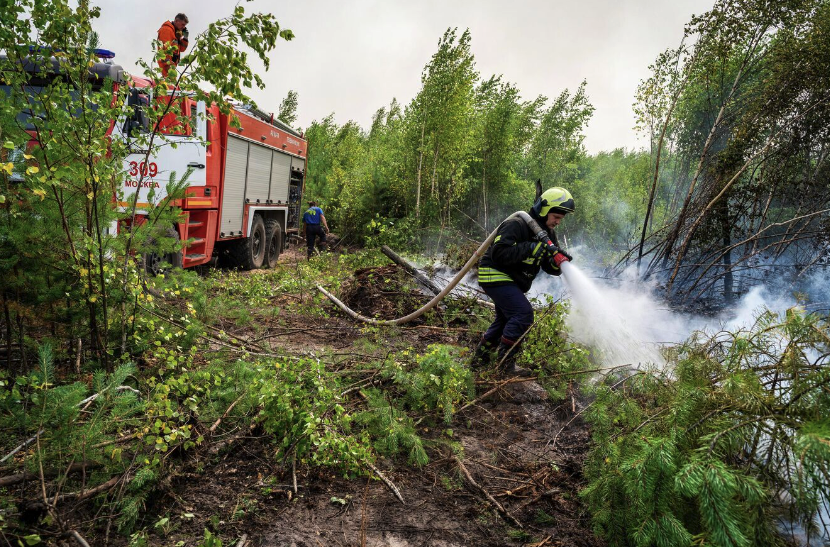 В Рязанской области объявили режим ЧС из-за лесных пожаров